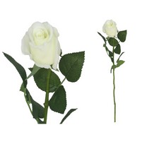 ROSA NATURAL CM.58 